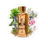 Cosmopolitan New York by Emir EDP 85 ml