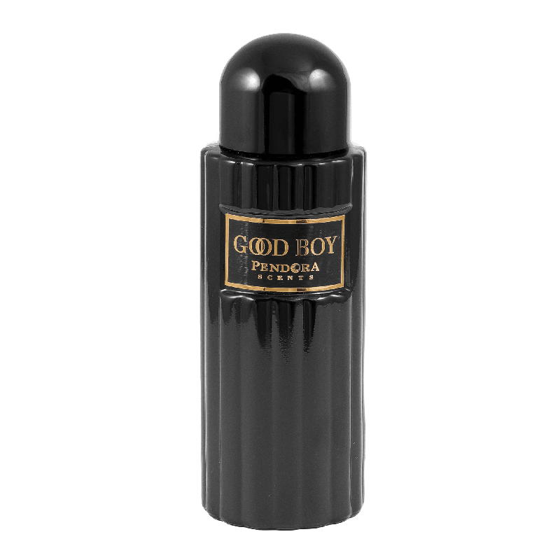 PENDORA SCENT Good Boy Paris parfumuotas vanduo vyrams 100ml - Royal kvepalai PENDORA SCENT Perfume