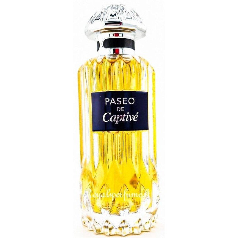 PENDORA SCENTS Paseo De Captive parfumuotas vanduo vyrams 100ml - Royal kvepalai PENDORA SCENT Visi