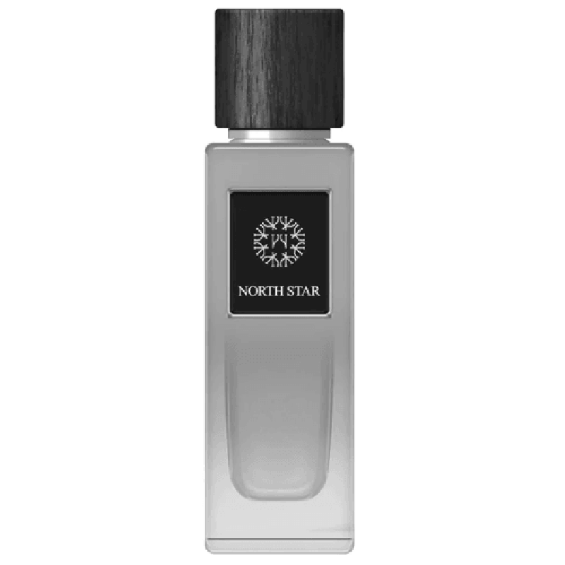 The Woods Collection Natural North Star parfumuotas vanduo vyrams 100ml - Royal kvepalai The Woods Collection 